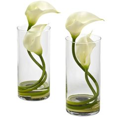 two glass vases with flowers in them on a white background, one is filled with water and the other has green stems