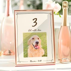 a bottle of champagne next to a photo frame with a golden retriever