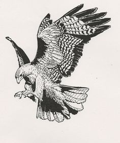 an eagle flying through the air with its wings spread out and it's talon extended