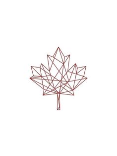 a drawing of a maple leaf on a white background with red lines in the shape of triangles