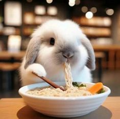 a rabbit eating noodles from a bowl with chopsticks in it's mouth