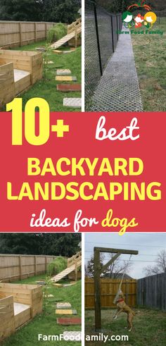 backyard landscaping ideas for dogs with text overlay