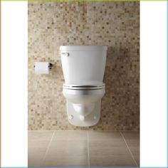 a white toilet sitting next to a tiled wall