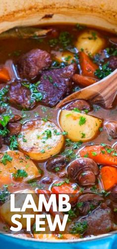 a blue pot filled with beef stew and carrots