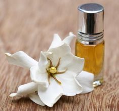 a white flower sitting on top of a wooden table next to a bottle of perfume