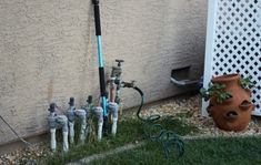 there are many different types of garden hoses in the grass next to a wall