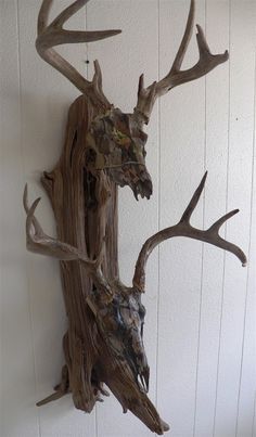 two deer heads mounted to the side of a white wall next to wood planks