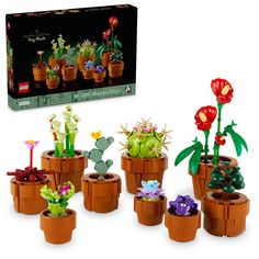 a lego plant set is shown in front of a box with flowers and cacti