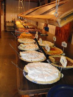 many pies are lined up on the counter