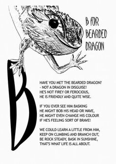 a black and white drawing of a bird with the words b for bearded dragon on it