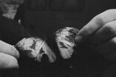 a black and white photo of someone holding a butterfly