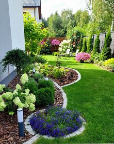 a garden with green grass and purple flowers