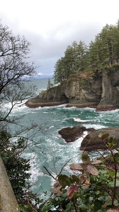 an ocean view with rocks and trees in the foreground