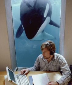 a man sitting in front of a laptop computer with an orca whale behind him