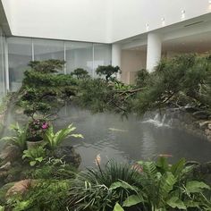 an indoor pond surrounded by plants and trees