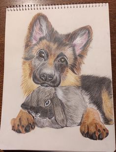 a drawing of two dogs laying next to each other