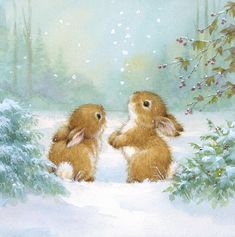 two rabbits in the snow looking at each other