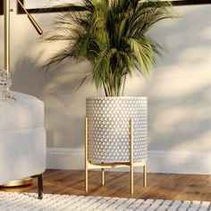 a potted plant sitting on top of a wooden floor next to a white chair