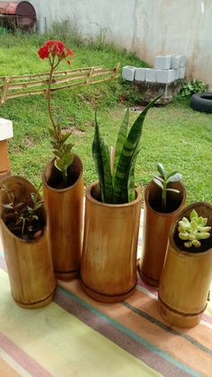 there are four pots with plants in them