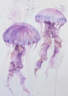 two purple jellyfish in watercolor on white paper