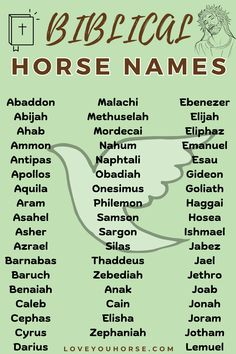 a poster with the names of horse names