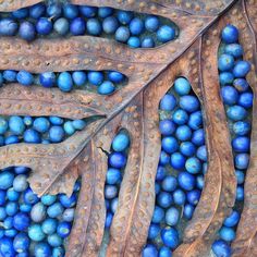 blue and brown leaves are arranged in an intricate pattern