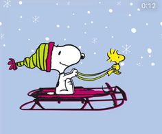 a charlie brown christmas card with a dog on a sleigh holding a star