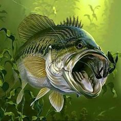 a fish with its mouth open and the words happy birthday written in green on it