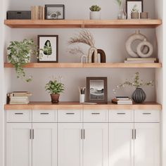 some shelves with plants and pictures on them