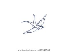 a bird flying in the sky with wings spread