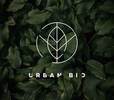 the urban bid logo surrounded by green leaves