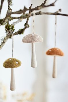 three mushrooms hanging from a tree branch