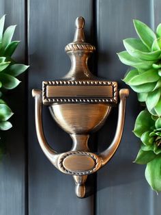 a metal hook on the side of a wooden door next to some green planters