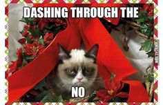 a grumpy cat sitting under a red ribbon with the caption crappy holidays