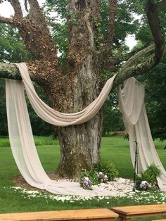 an outdoor ceremony setup with draping and flowers on the ground next to a tree