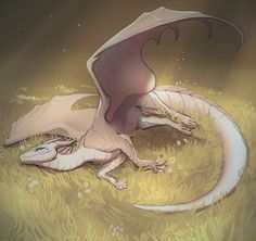 a white dragon laying on top of a grass covered field