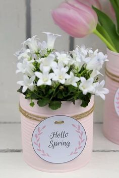 two pink vases with white flowers in them