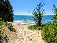 a sandy beach next to the ocean and trees