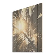 a palm tree with the sun shining through it's leaves on a white background