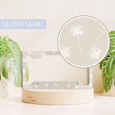 a mirror sitting on top of a wooden stand next to a potted palm tree