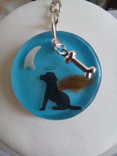 a dog with a bone in it's mouth is sitting on a blue plate