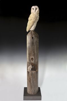 an owl statue sitting on top of a wooden post next to a white wall and black background