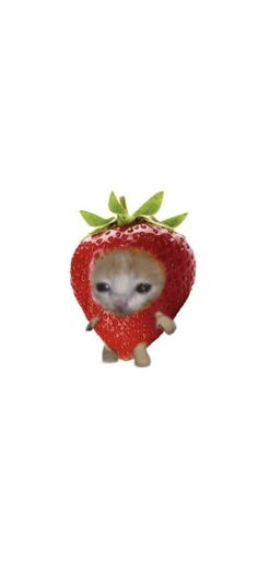 an animal with a strawberry on it's head is peeking out from behind the strawberries