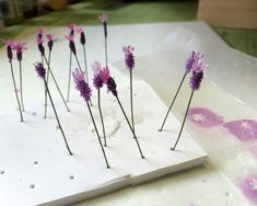 small purple flowers are placed in the middle of a sheet of paper on a table