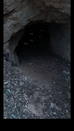 a dark cave with rocks and leaves on the ground