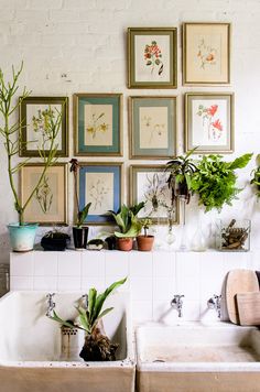 there are many plants and pictures on the wall above the sinks in this bathroom,