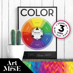 the color wheel is displayed next to a potted cactus