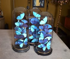 three glass bell jars with blue butterflies in them sitting on a counter top next to a mirror