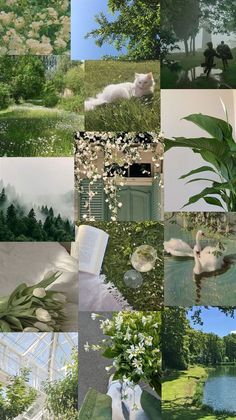 a collage of photos with trees, flowers and animals in them is shown here