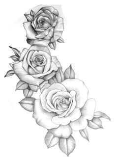 three roses with leaves on each side and one flower in the middle, as well as two